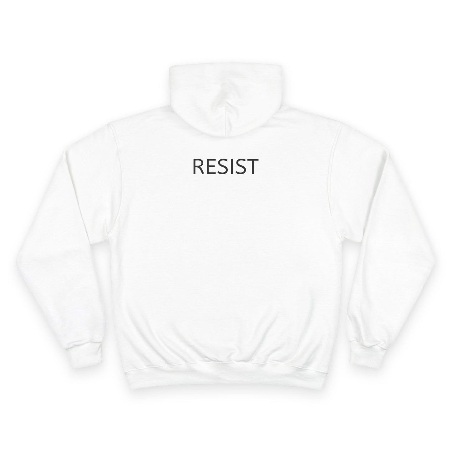 Humorous Champion Hoodie with Artwork, Streetwear Gift for Nerds, Funny Apparel, Unique Gift for Tech Lovers, Casual Warmth