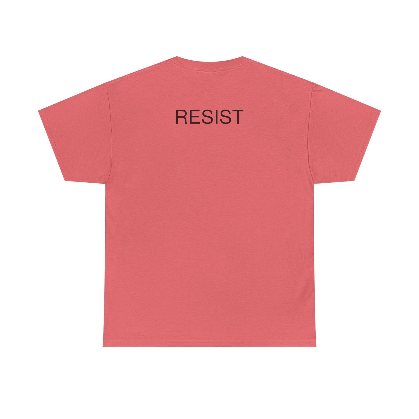 The Fool Unisex Heavy Cotton Tee - Humor & Resistance