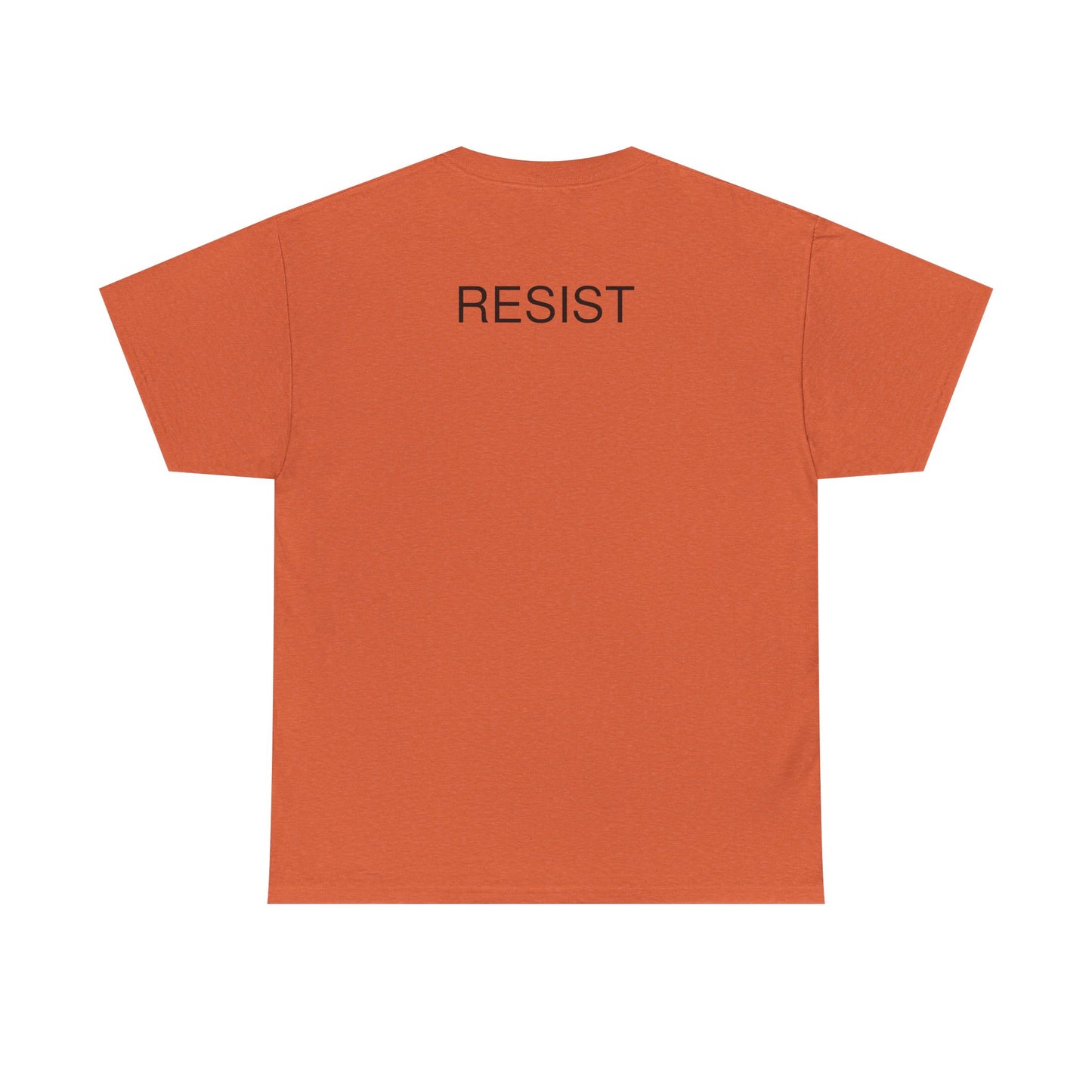 The Fool Unisex Heavy Cotton Tee - Humor & Resistance