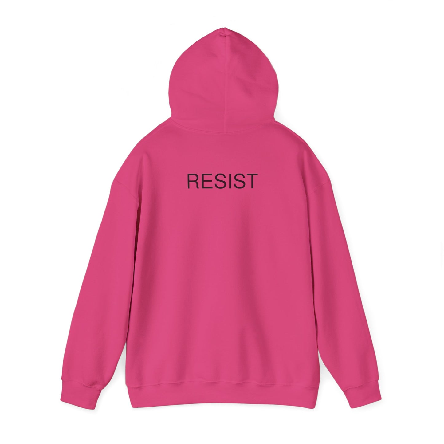 Unisex Hooded Sweatshirt - 'The Fool' Graphic & 'Resist' Statement