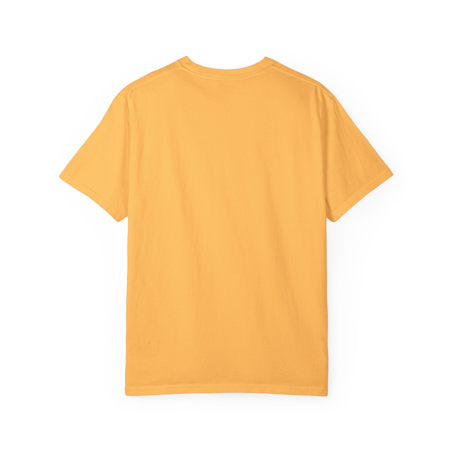 Unisex Garment-Dyed T-Shirt - 'Jesus Would Resist' Motivational Tee