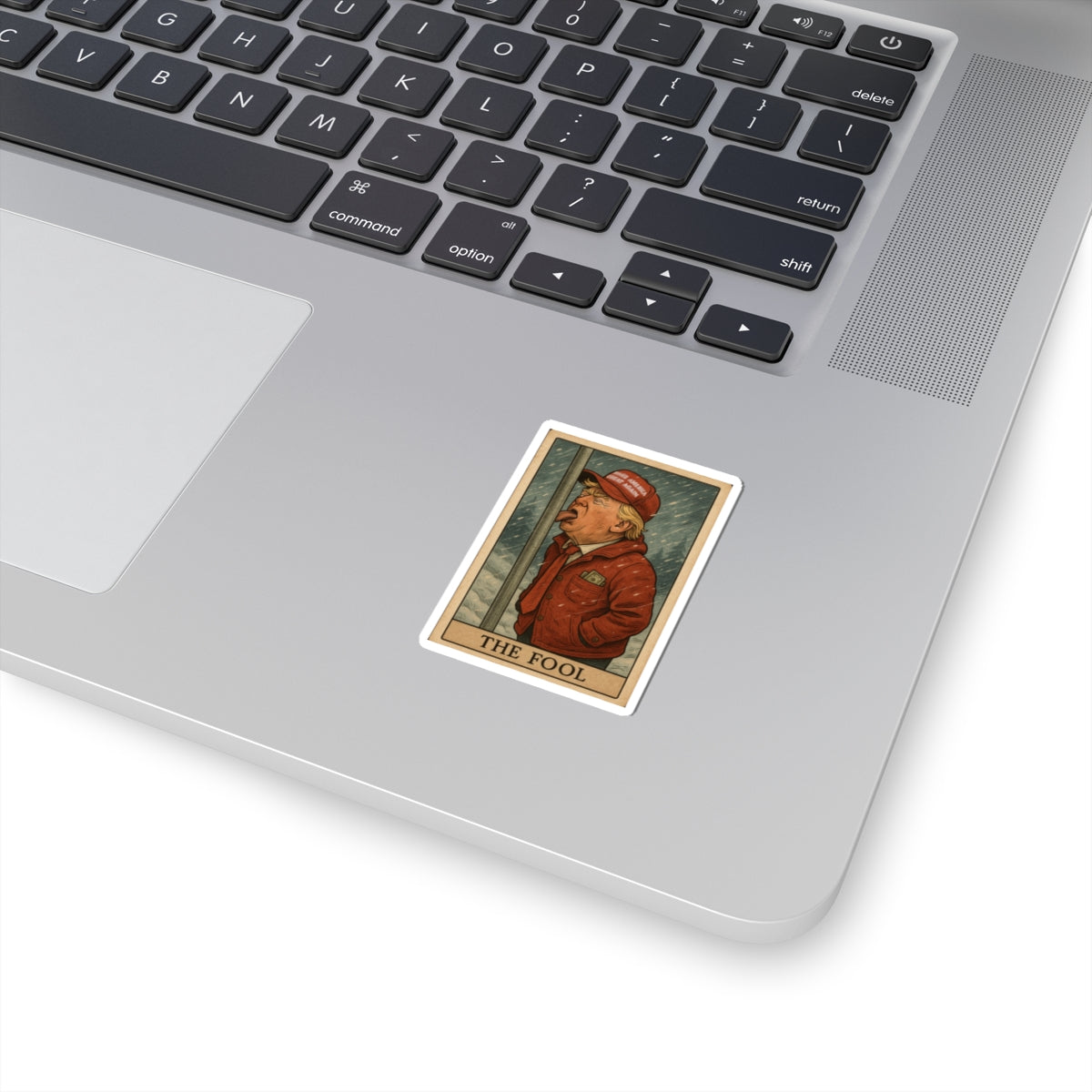 Funny Political Kiss-Cut Stickers - "THE FOOL" Design for Laptop and Water Bottles