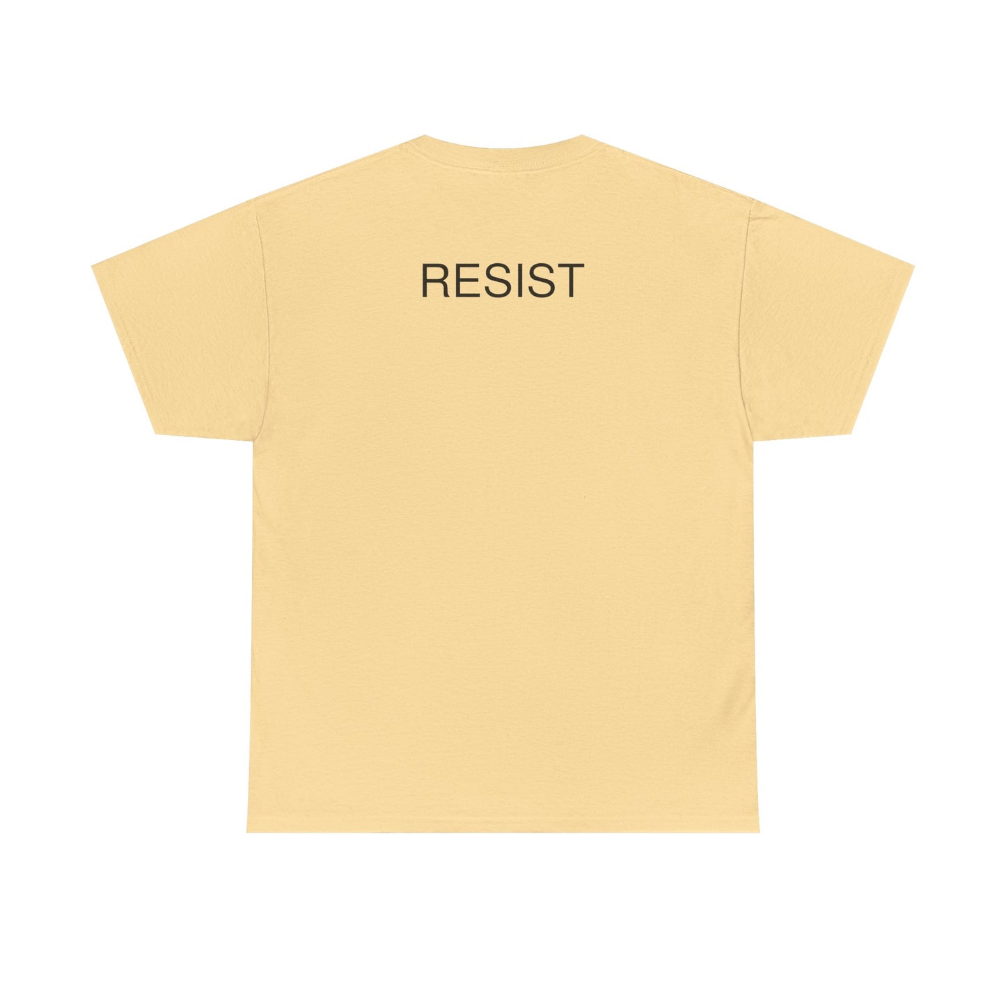 The Fool Unisex Heavy Cotton Tee - Humor & Resistance