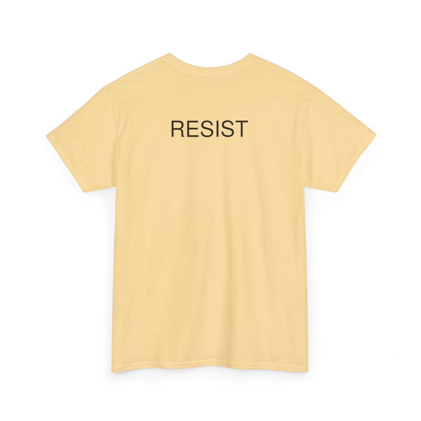 The Fool Unisex Heavy Cotton Tee - Humor & Resistance