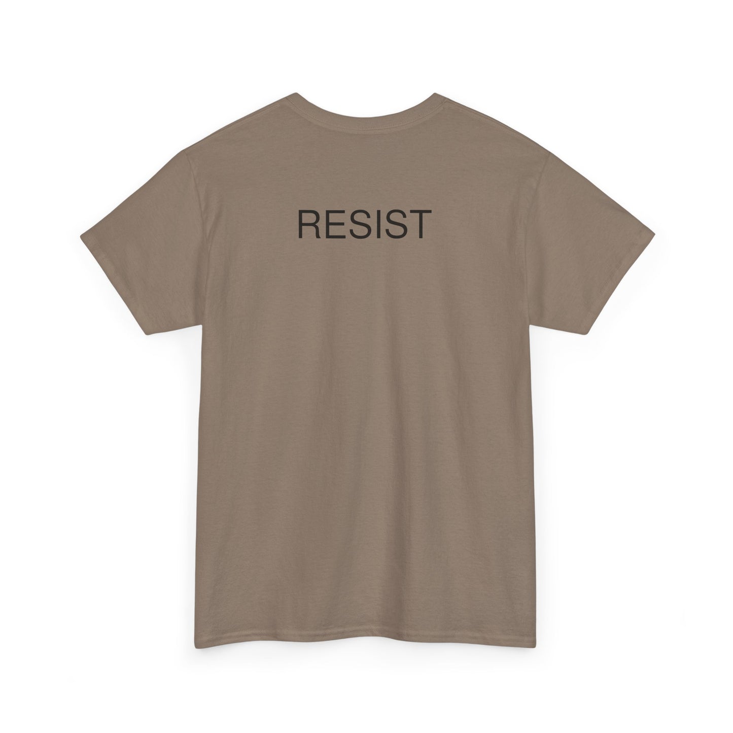 The Fool Unisex Heavy Cotton Tee - Humor & Resistance