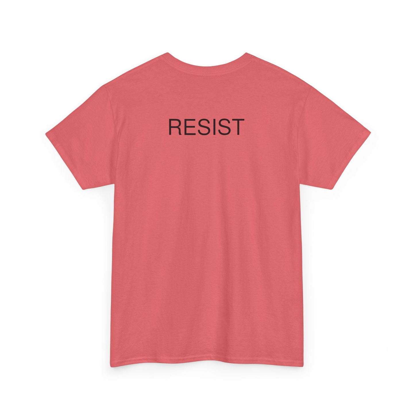 The Fool Unisex Heavy Cotton Tee - Humor & Resistance