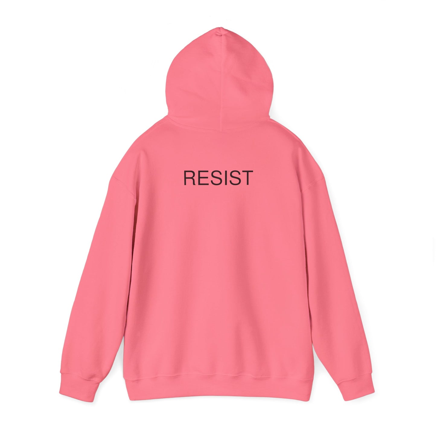 Unisex Hooded Sweatshirt - 'The Fool' Graphic & 'Resist' Statement